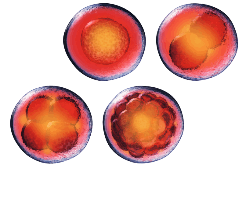 What are the benefits of artificial intelligence in IVF?